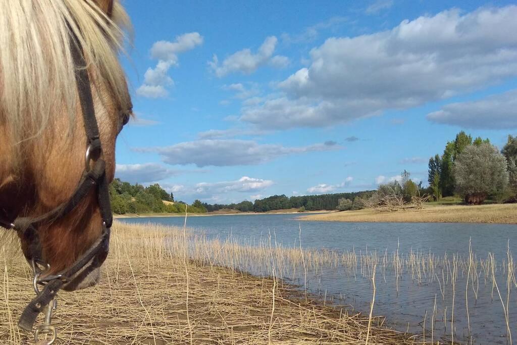 Gite En Pleine Nature Proche Du Lac De La Gimone Saint-Blancard 外观 照片