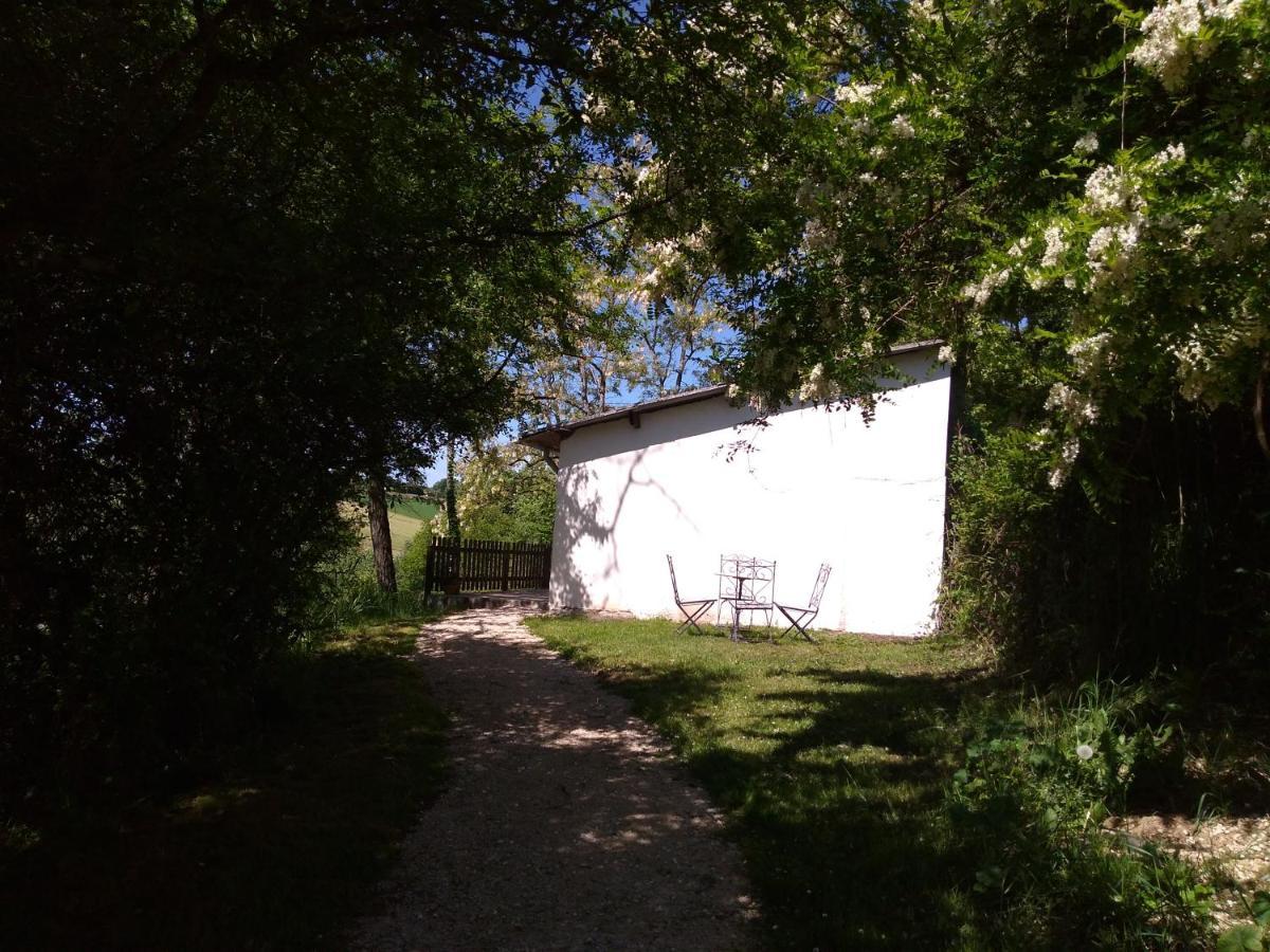 Gite En Pleine Nature Proche Du Lac De La Gimone Saint-Blancard 外观 照片