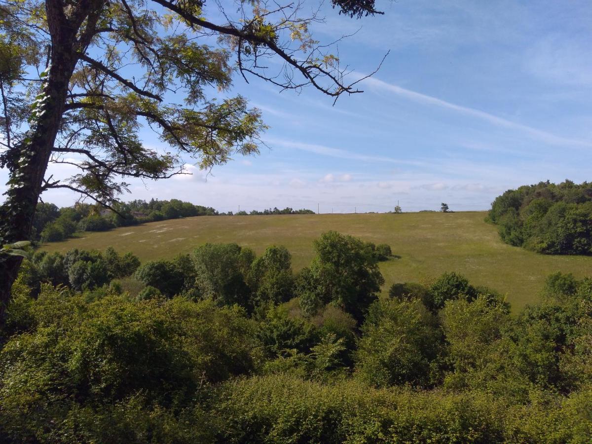 Gite En Pleine Nature Proche Du Lac De La Gimone Saint-Blancard 外观 照片